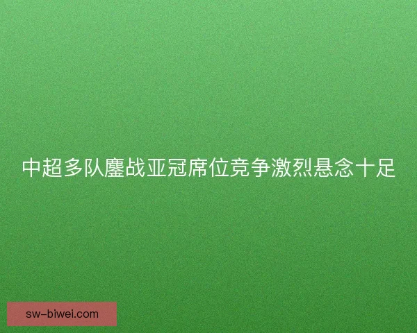 中超多队鏖战亚冠席位竞争激烈悬念十足 中超多队鏖战亚冠席位竞争激烈悬念十足